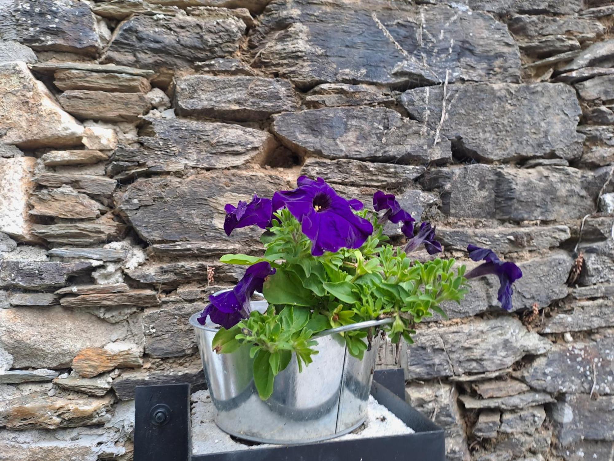 Apartamento Turistico Rural Casa Chain Lugo Esterno foto